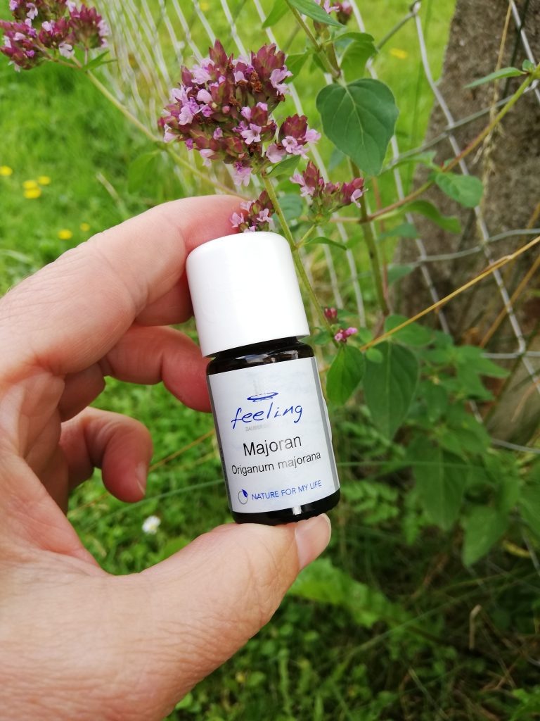 August-Kräuterduft Majoran
