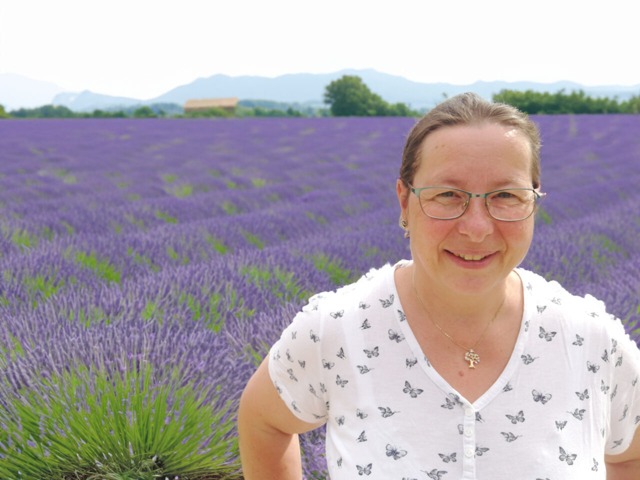 Lavendel – Erlebe dein blaues Wunder