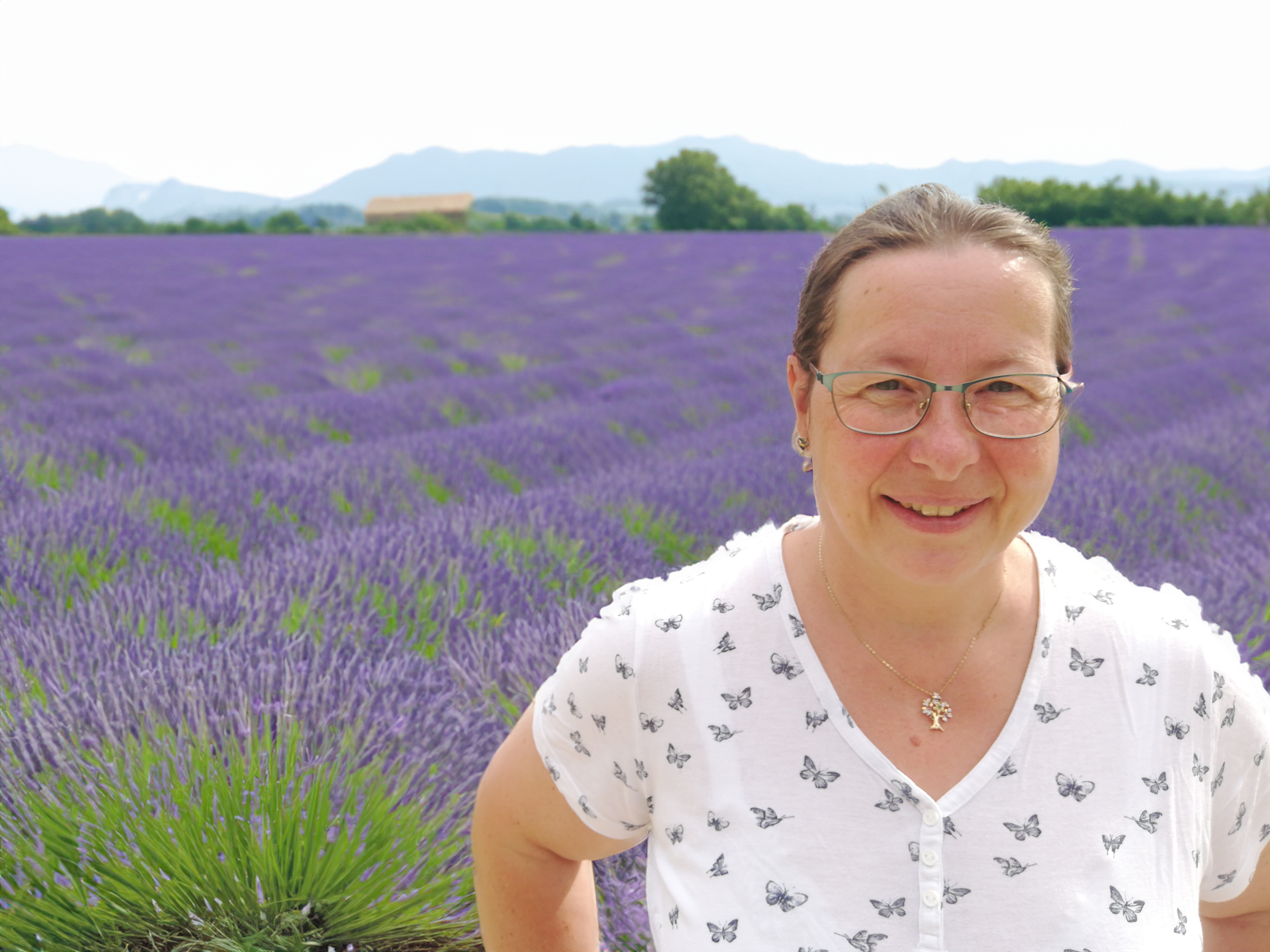Regina Lavendelfeld – Aroma-Energie Regina Preininger